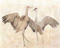 Sandhill Cranes 1 Fine Art Print