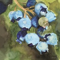 Blueberries 1 Fine Art Print