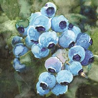 Blueberries 3 Framed Print