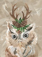 Christmas Owl Framed Print