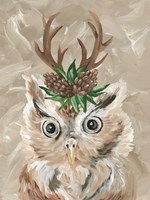 Christmas Owl Fine Art Print