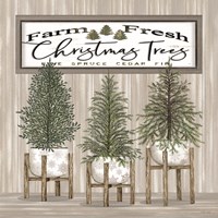 Potted Christmas Trees Fine Art Print