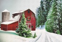 Winter Pines Red Barn Fine Art Print