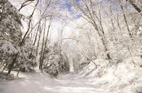 Winter Storm Fine Art Print