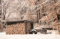 Firewood Shed Fine Art Print