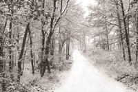 Snowy Lane Fine Art Print