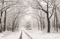 Wintry Road Fine Art Print