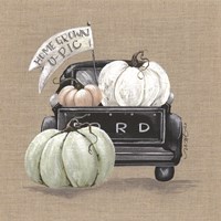 Pumpkin Truck Fine Art Print