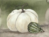 Sunny Day Pumpkins II Fine Art Print