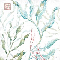 Delicate Sea X Fine Art Print