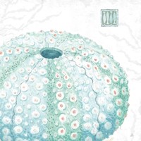 Delicate Sea VIII Fine Art Print