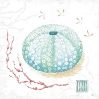 Delicate Sea VII Fine Art Print