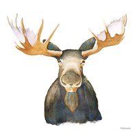 Moose Fine Art Print