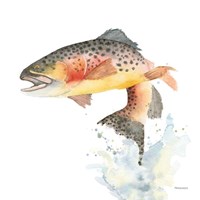 Cutthroat Trout Fine Art Print