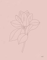 Magnolia Line Drawing Pink Fine Art Print