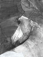 Shadow BW Fine Art Print