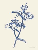 Ink Lilies I Blue Framed Print