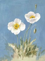 White Poppies I No Butterfly Framed Print