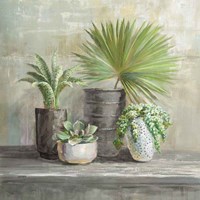 Indoor Garden Gray Fine Art Print