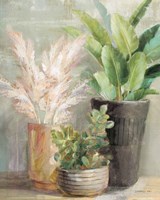 Indoor Garden III Fine Art Print