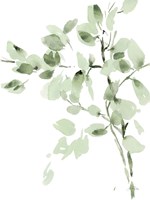 Cascading Branches II Fine Art Print