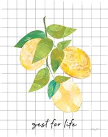 Summer Lemons Sentiment I Framed Print