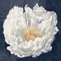 Serene Peony Navy Fine Art Print