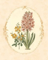 Gentle Soul Bouquet II Fine Art Print