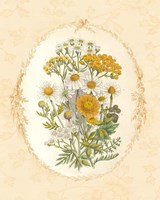 Gentle Soul Bouquet I Fine Art Print