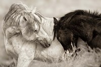 The Long Goodbye Fine Art Print