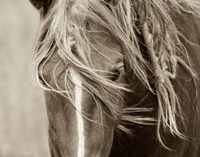 Wind Knots Fine Art Print