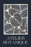 Atelier Botanique Fine Art Print
