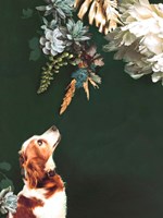 Pet Couture 1 Fine Art Print