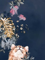 Pet Couture 3 Fine Art Print