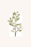 Tropical Window 4 Fine Art Print