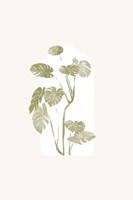 Tropical Window 6 Fine Art Print