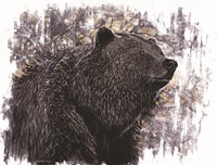 Big Griz Fine Art Print