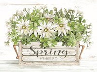 Spring Flowers Fine Art Print