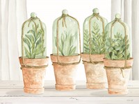 Herb Collection Fine Art Print