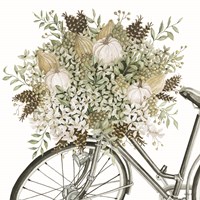 Bountiful Basket on a Bike I Fine Art Print