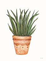 Aztec Pot II Framed Print