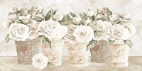 Potted Roses Fine Art Print