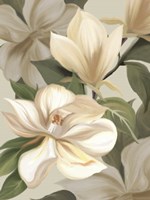 Magnolia Blossoms I Framed Print