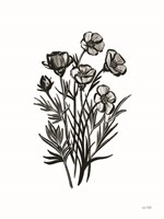 Pen and Ink Wildflower II Fine Art Print