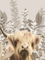Hairy Highland in the Field Fine Art Print