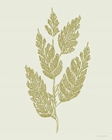 Spring Sprig Fine Art Print