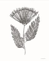 Flair Fine Art Print