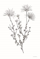 Soft Whisper Fine Art Print