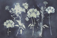 Faint Memories Fine Art Print