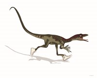 Dino Dunk Fine Art Print